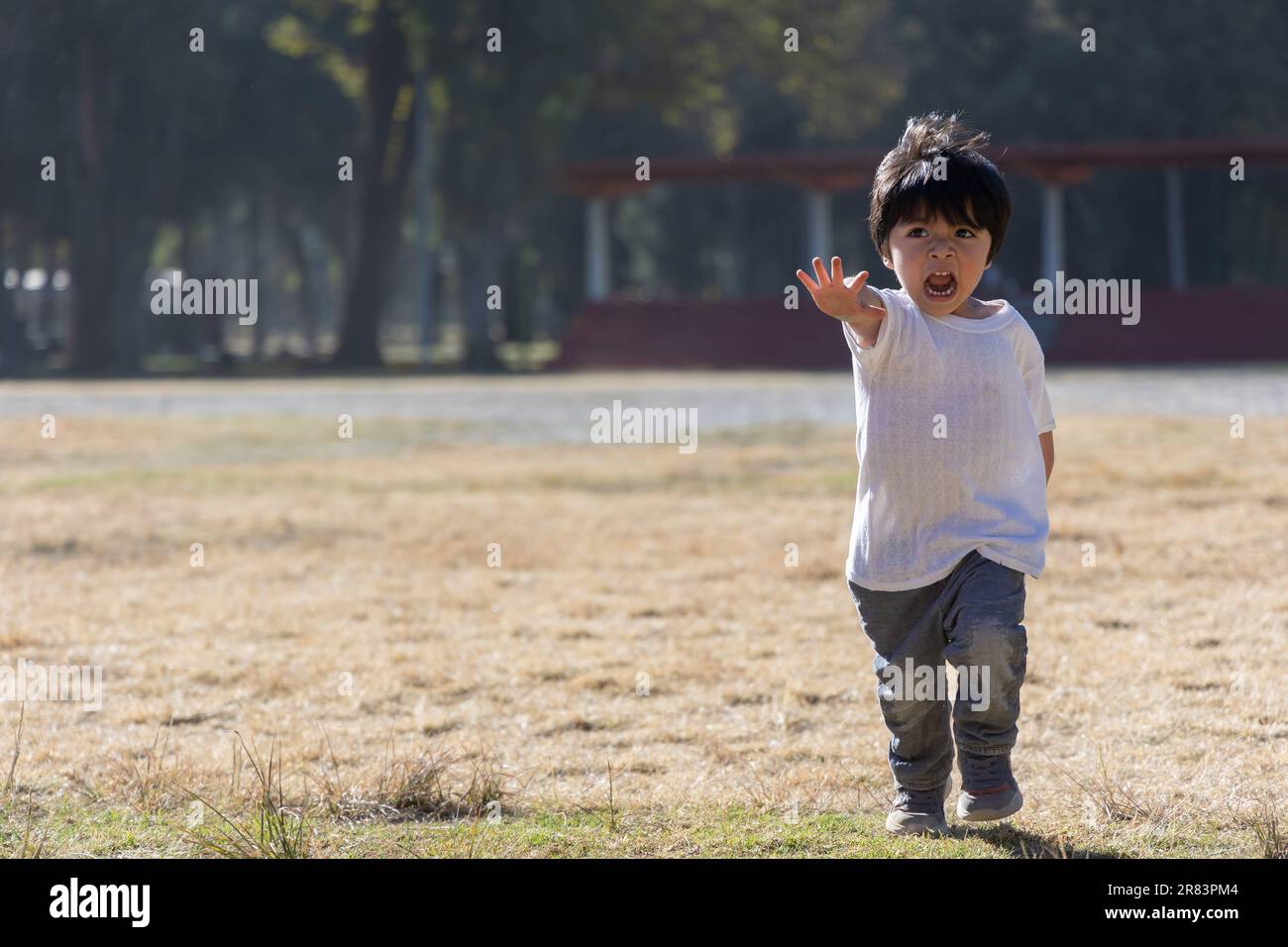 Adorable toddler in white shirt hi-res stock photography and images - Alamy