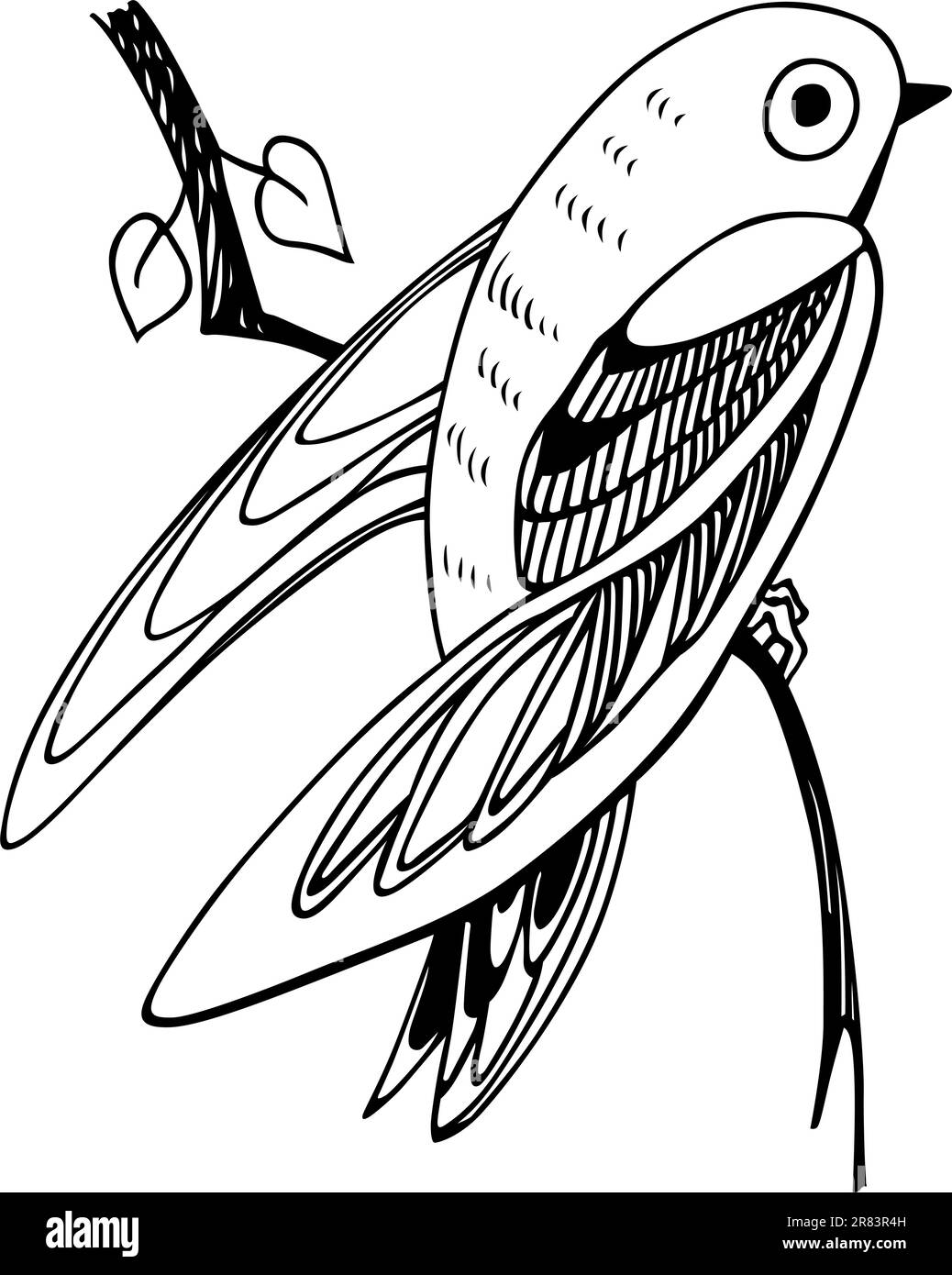 Feathered small Black and White Stock Photos & Images - Alamy