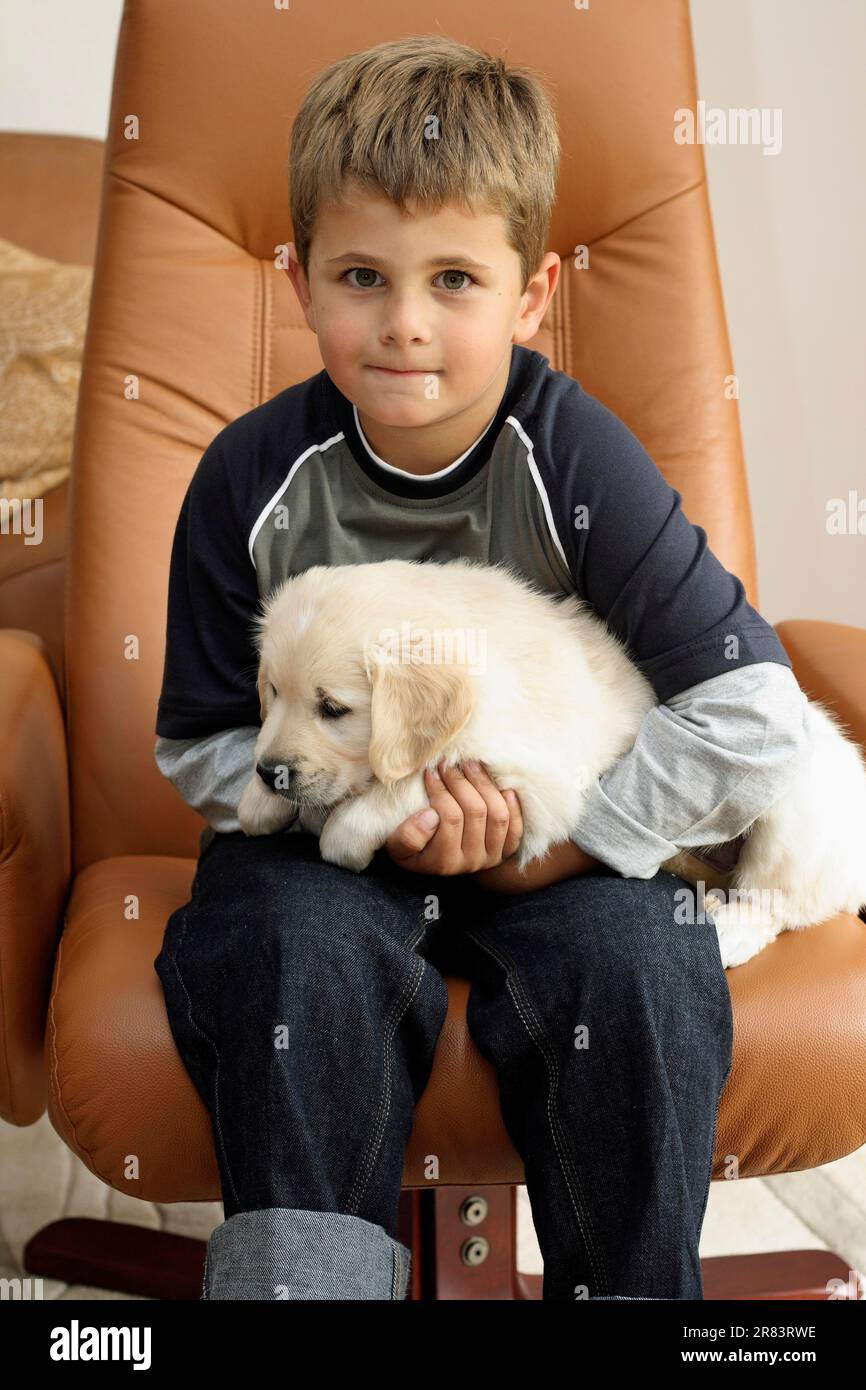 Little boy sitting in the armchair in the living room with a Golden ...