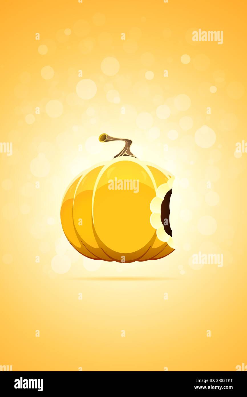 Orange photography background Stock Vector Images - Alamy