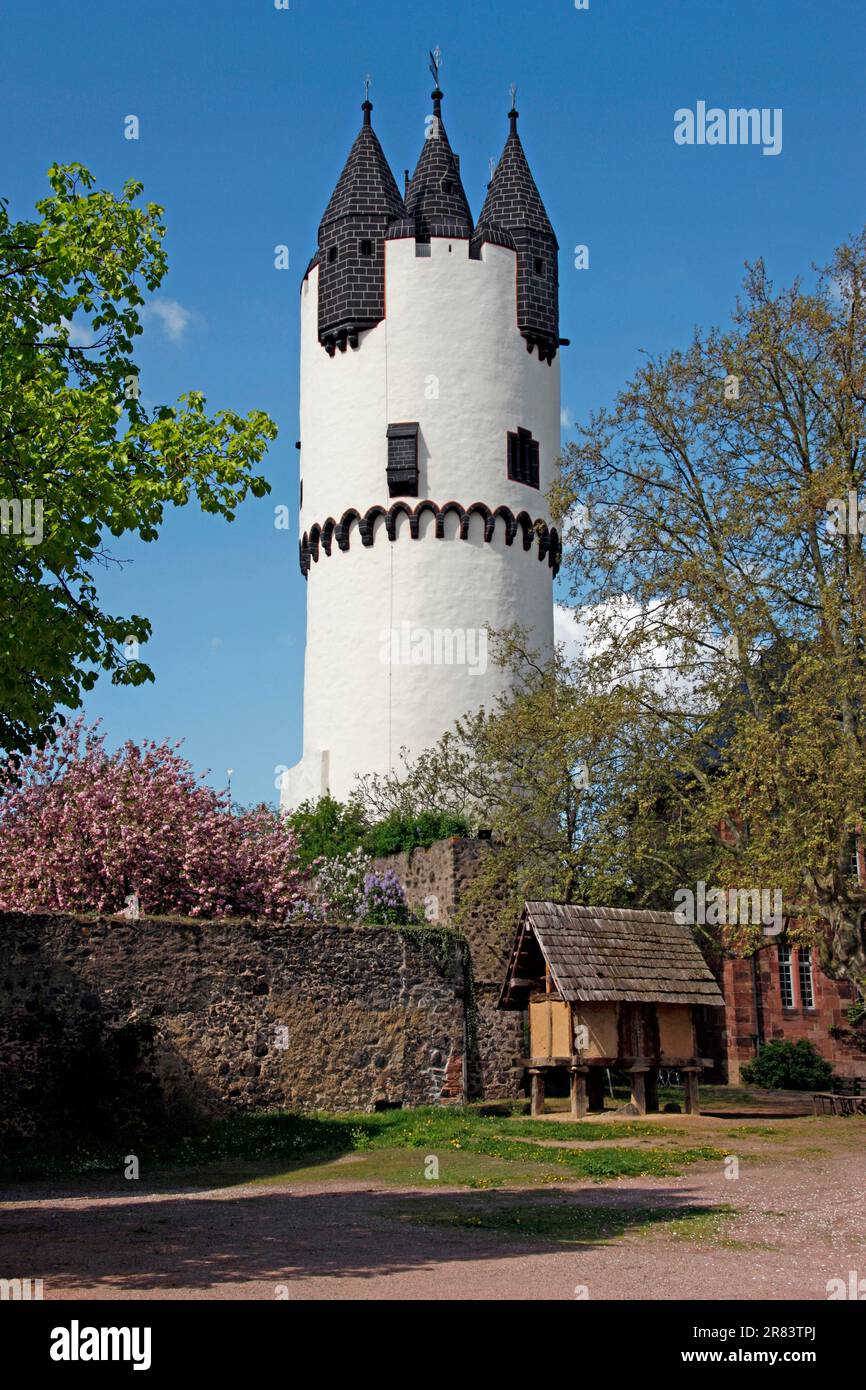 Castle tower, Steinheim Castle, local history museum, Steinheim am Main, Hanau, Hesse, Germany Stock Photo