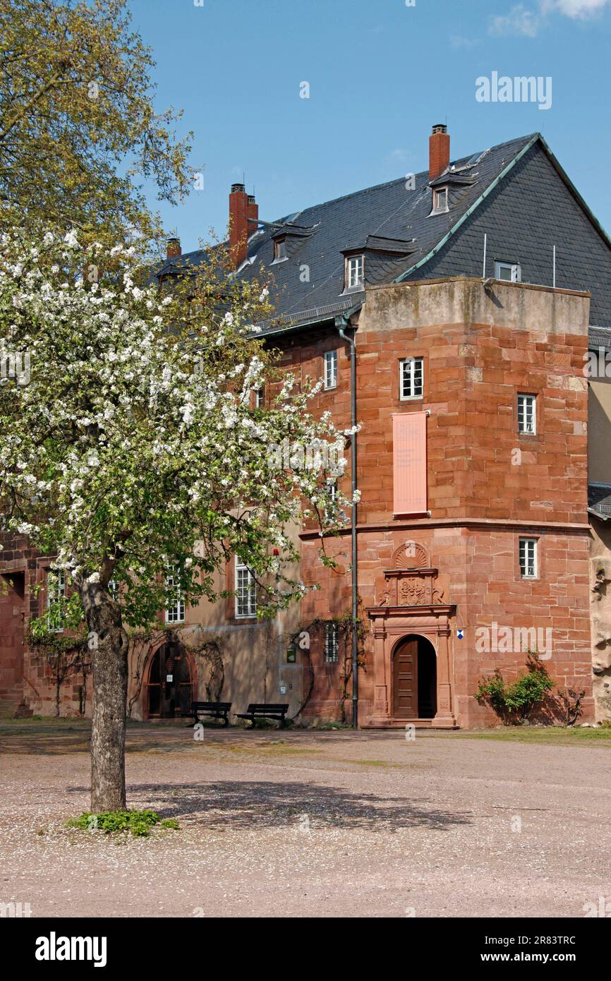 Steinheim Castle, Museum of Local History, Steinheim am Main, Hanau, Hesse, Germany Stock Photo