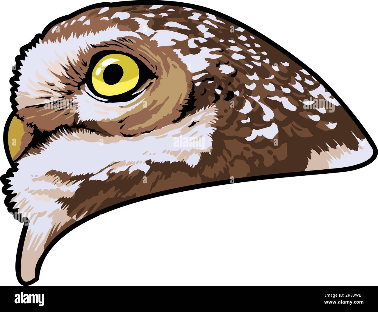 Owl Face Illustration. Sky. Forest. Vector Stock Vector