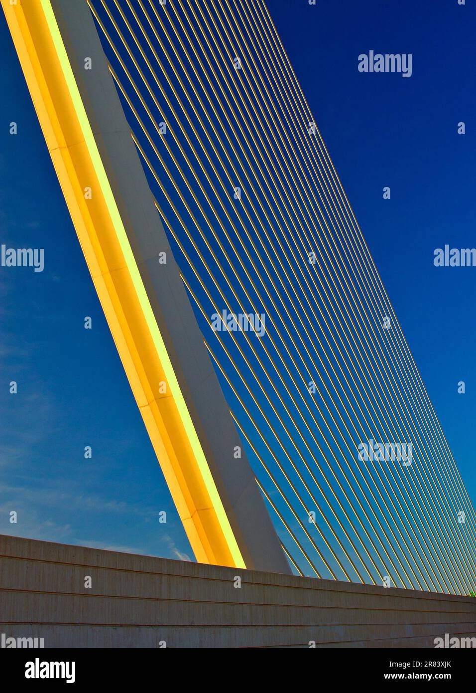 Puente l'Assut de l'Or is part of the Ciudad de las Artes y las Ciencias, The architect Santiago Calatrava has built a monument to his home city of Stock Photo