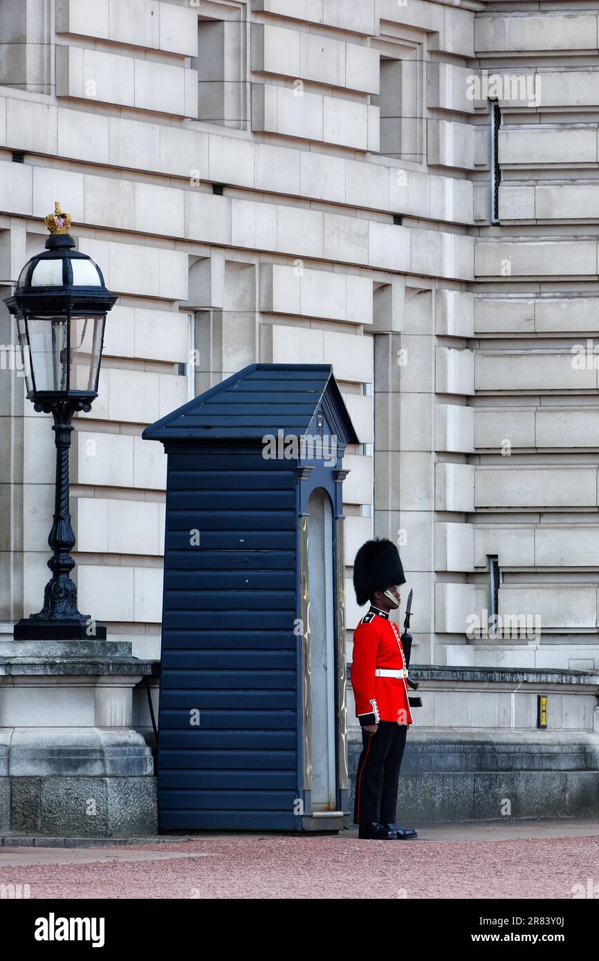 Grenadier Guards. London. Buckingham Palace Stock Photo - Alamy