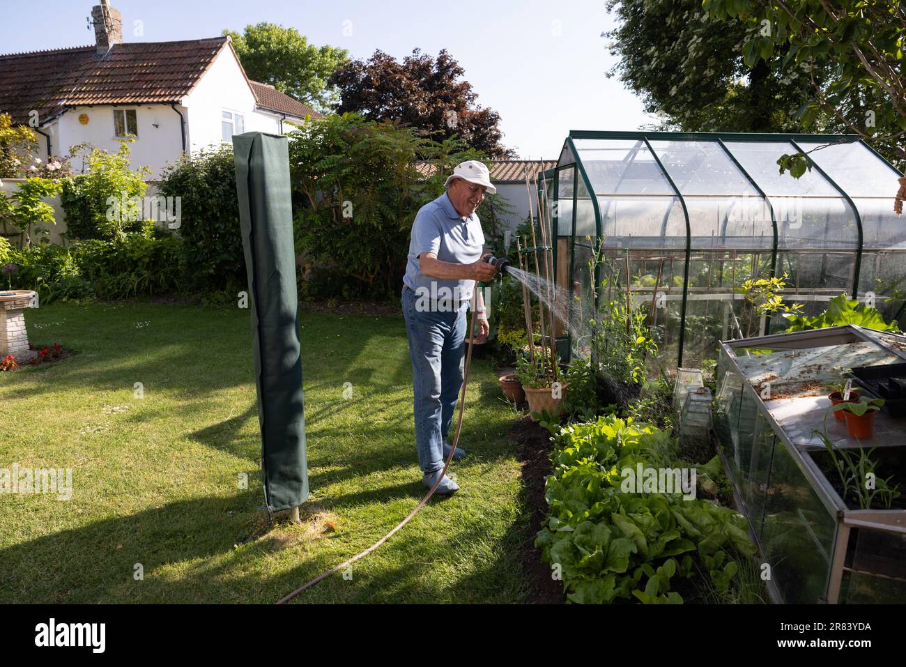 Man in his eighties using a garden hosepipe to water his vegetables during a dry June 2023