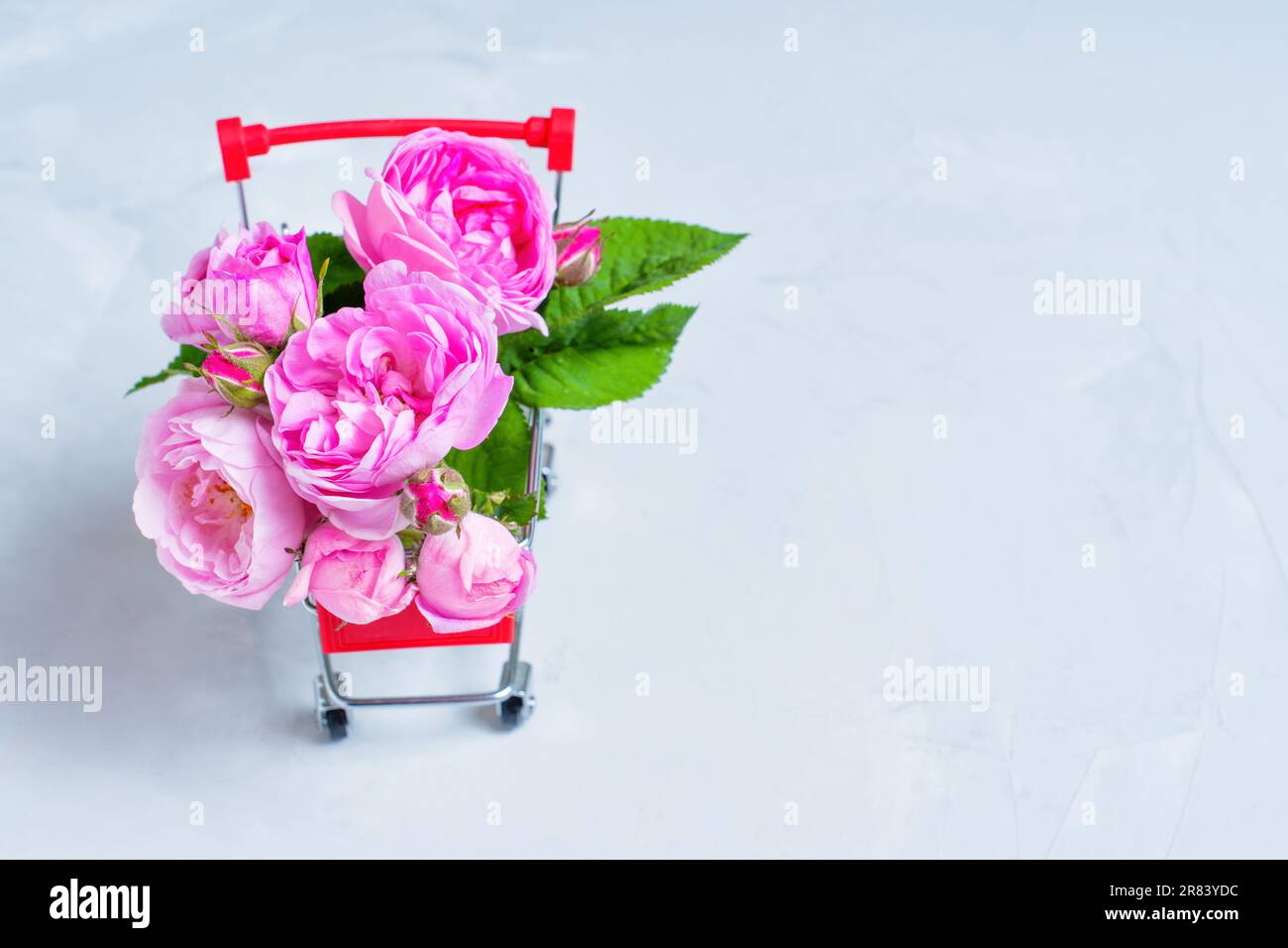 Small push cart full of tiny vibrant blooming roses isolated a neutral