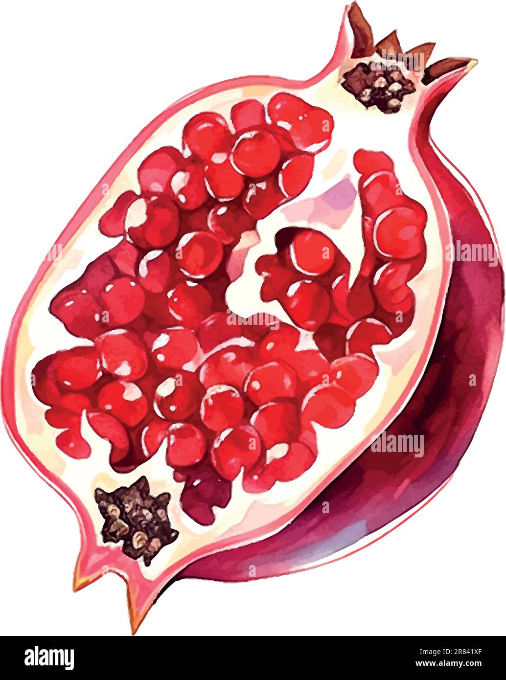26,287 Pomegranate Drawing Images, Stock Photos & Vectors | Shutterstock