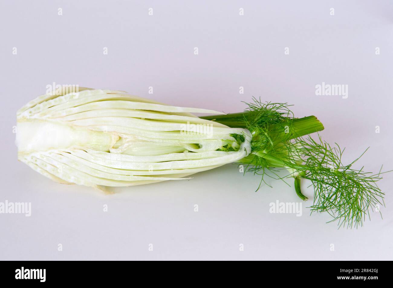 Florence fennel hires stock photography and images Alamy
