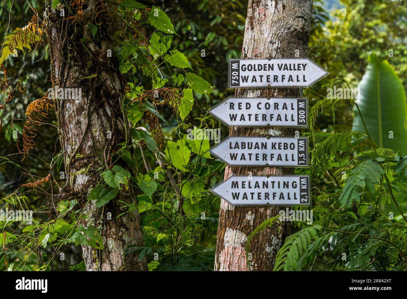 Information board indicating the paths for the different Munduk waterfalls, on the island of Bali. Stock Photo