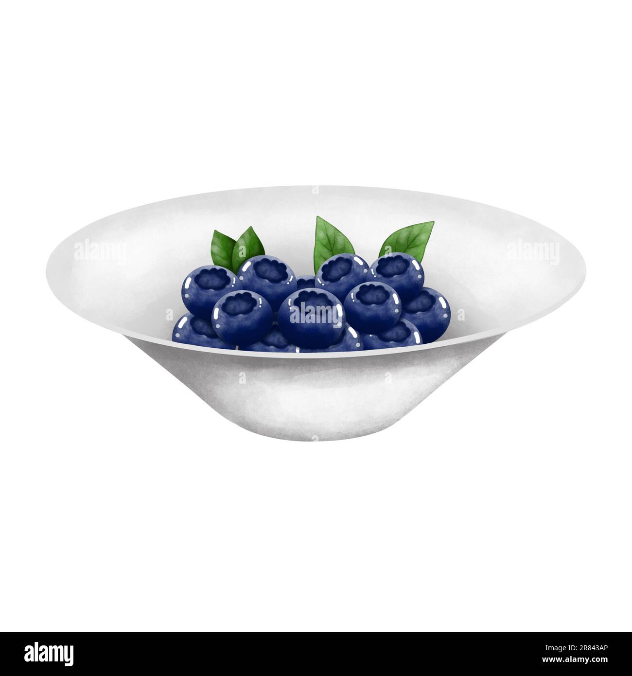 Watercolor blueberries on a white  plate. Hand drawn summer fruit illustration isolated on white background. Summer fruit. Stock Photo