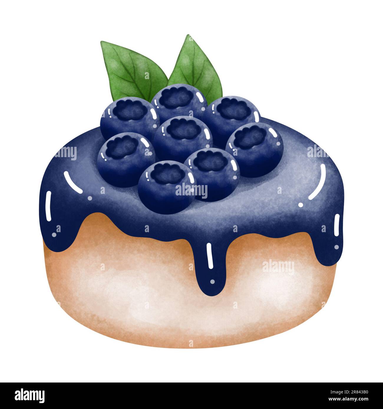 Watercolor blueberry cake clipart. Watercolor dessert illustration isolated on white background. Holiday clipart for design of greeting cards,annivers Stock Photo