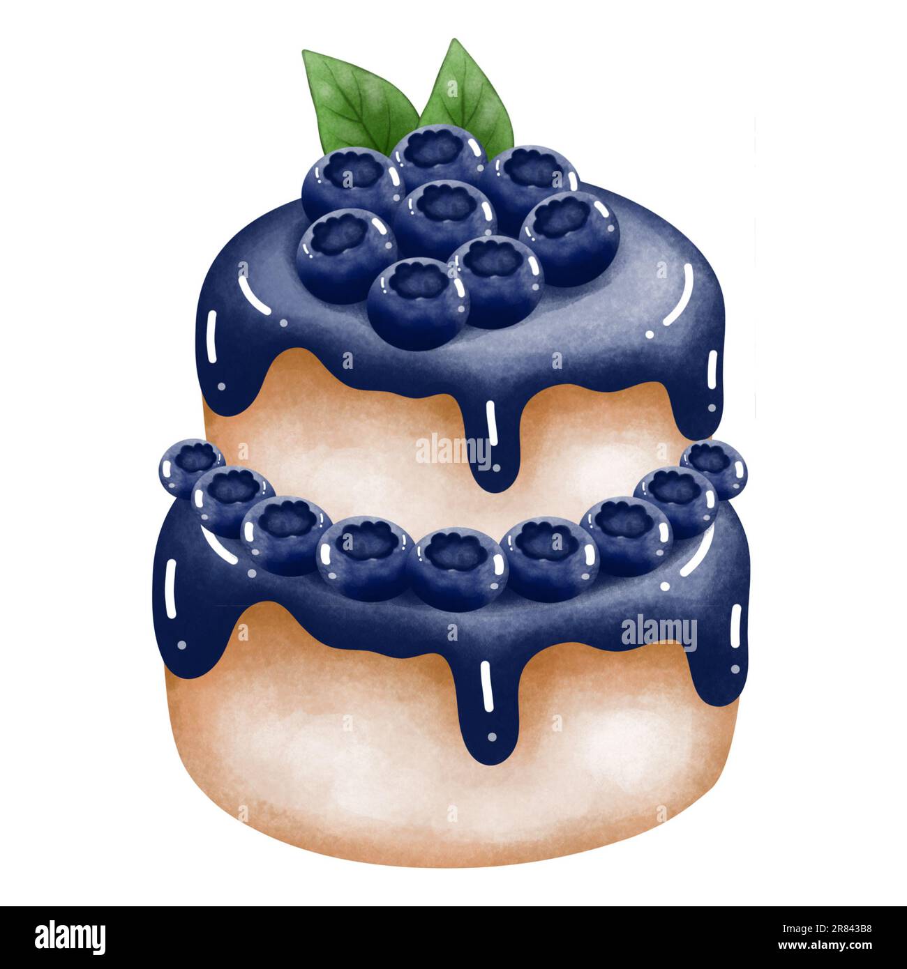Watercolor blueberry cake illustration. Watercolor dessert illustration isolated on white background. Holiday clipart for design of greeting cards,ann Stock Photo