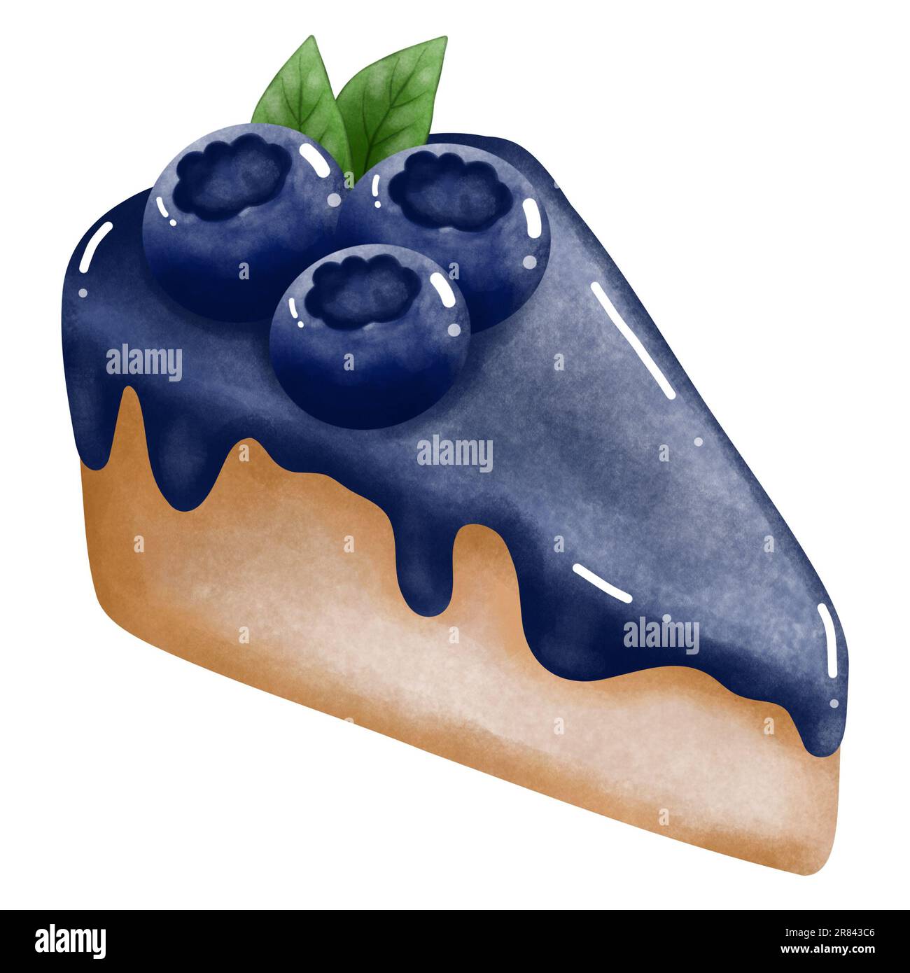 Watercolor blueberry cheesecake clipart. Hand painting sweet juicy blueberries isolated on white