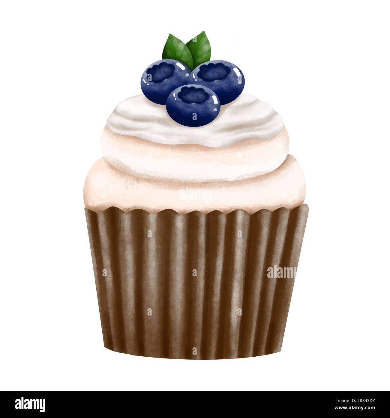 Hand drawn blueberry cupcake. Watercolor dessert illustration isolated on white background. Birthday,invitation,greeting,menus,logos,anniversary. Stock Photo