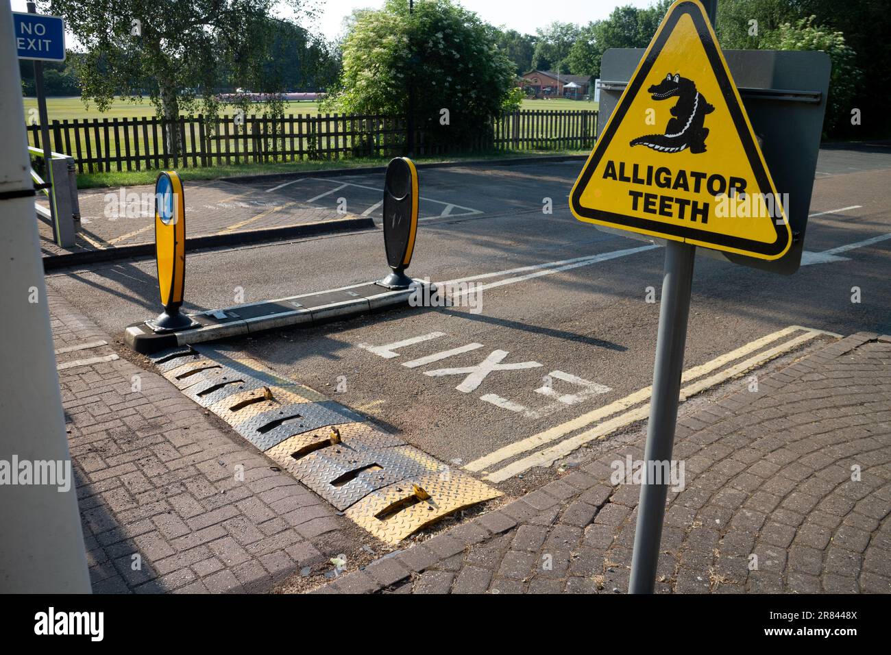 Alligator teeth, StratforduponAvon, UK Stock Photo Alamy