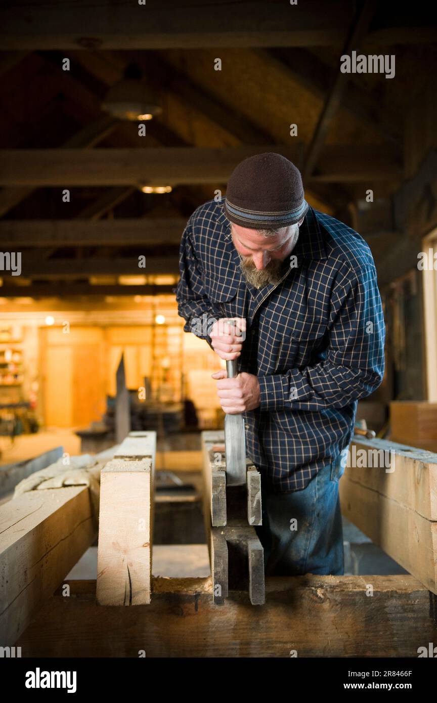 Cleaning out a mortise joint, a timber framer uses a mortise chisel to