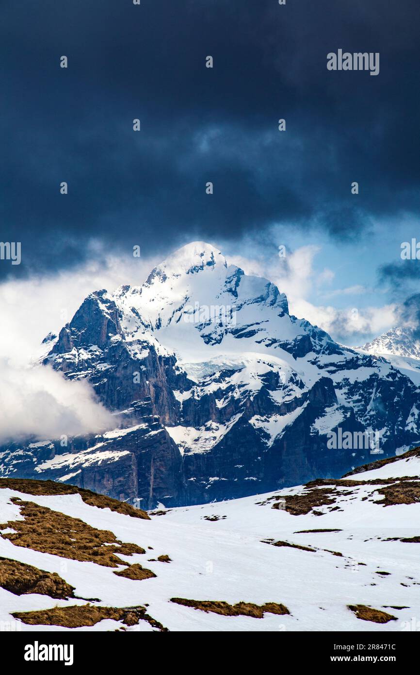 Snowy peak of the Wetterhorn mountain seen from First, Switzerland Stock Photo