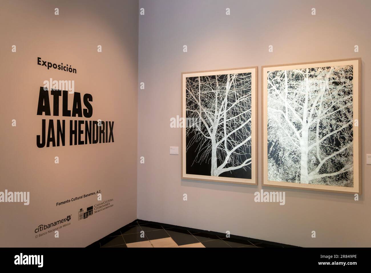 Art exhibition 'Atlas' by Jan Hendrix, Casa de Montejo, Merida, Yucatan State, Mexico Stock Photo