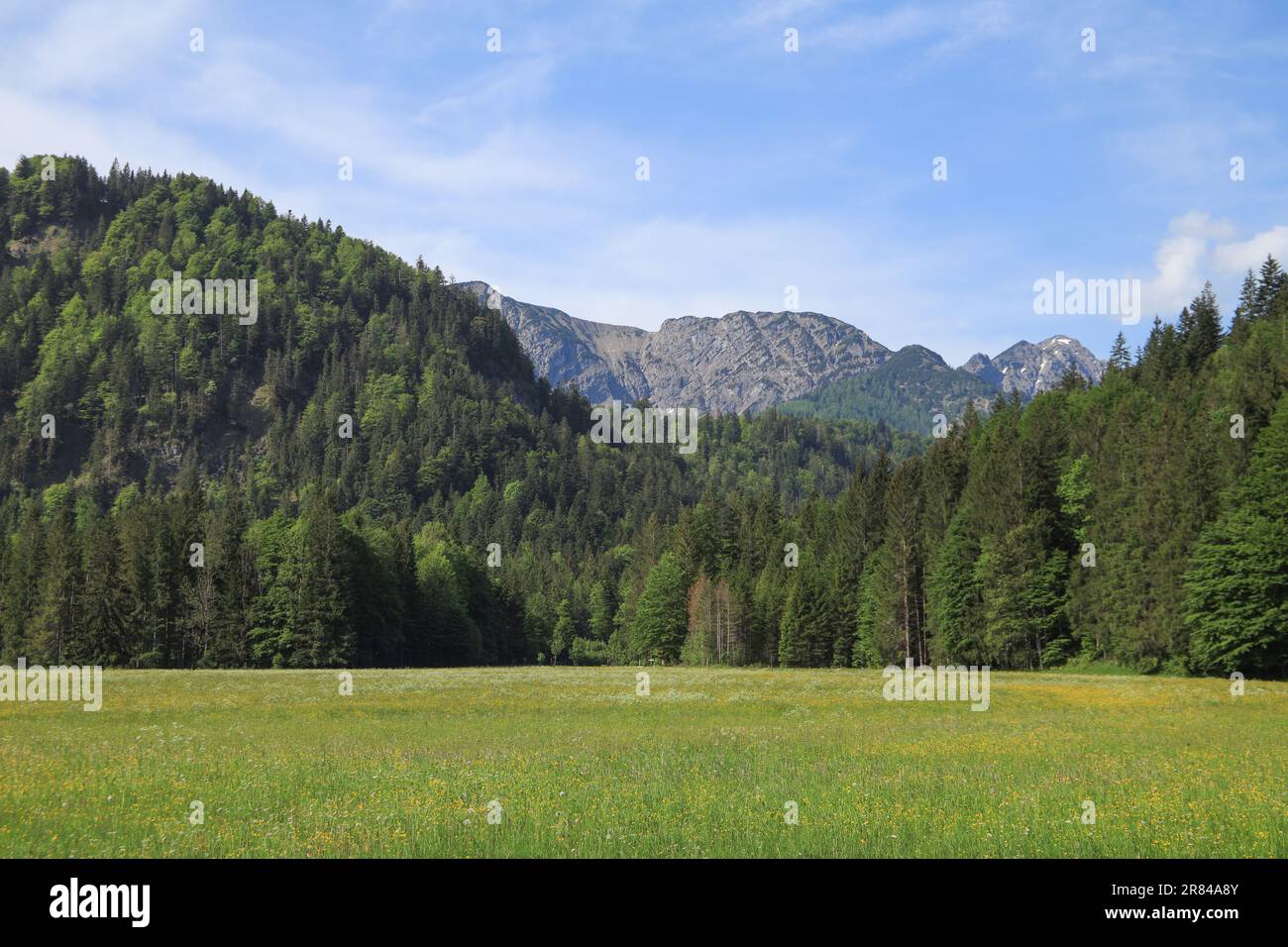 View from Bayrischzell to mountain 'Rotwand' in Mangfall Mountains, Bavaria - Germany Stock Photo