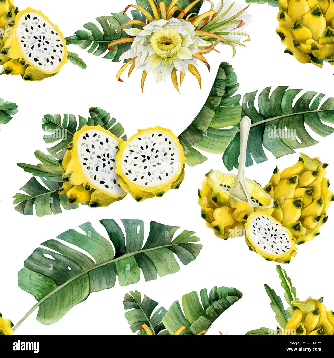 Yellow pitaya dragon fruits slices in tropical leaves seamless pattern on white background. Hand drawn illustration Stock Photo