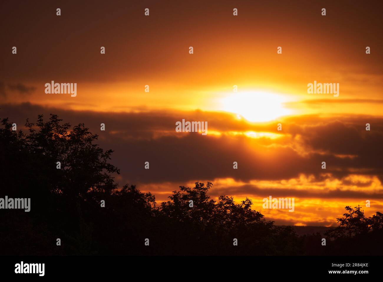 Summer sunset over the forest with clouds and sun in frame Stock Photo ...
