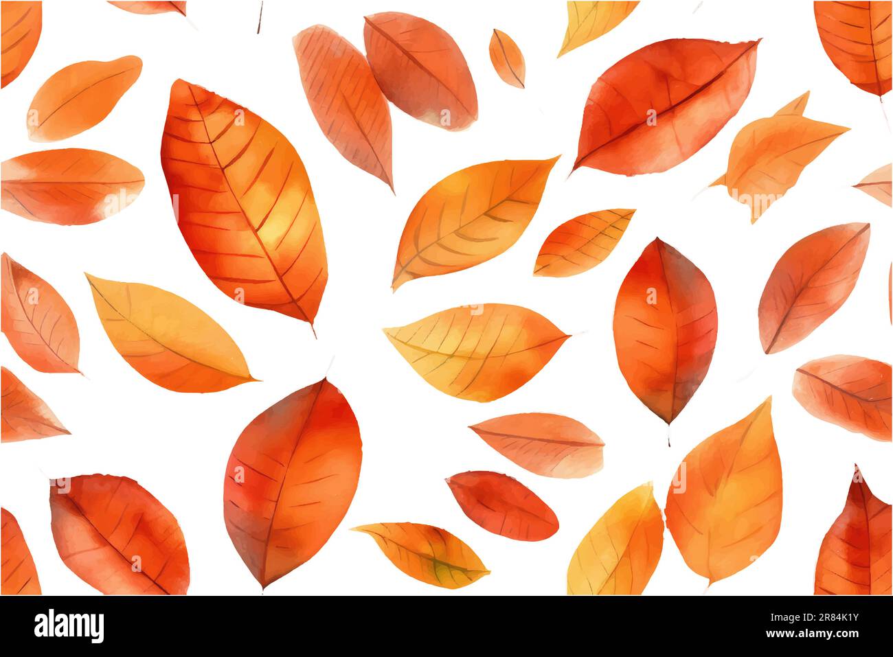 watercolor set vector illustration of autumn leaves isolate on white ...