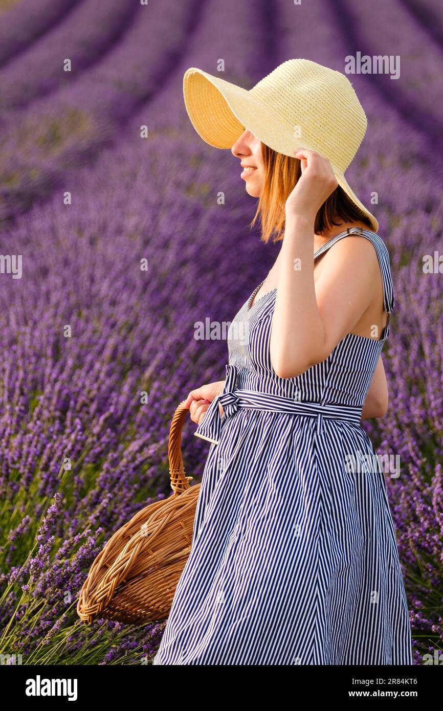 A young lady, adorned with a straw hat, delightfully stands in lavender field, gracefully carrying a wicker basket filled with vibrant violet blooms. Stock Photo