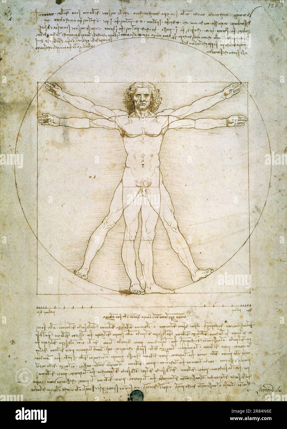 Da vinci 2024 man drawing