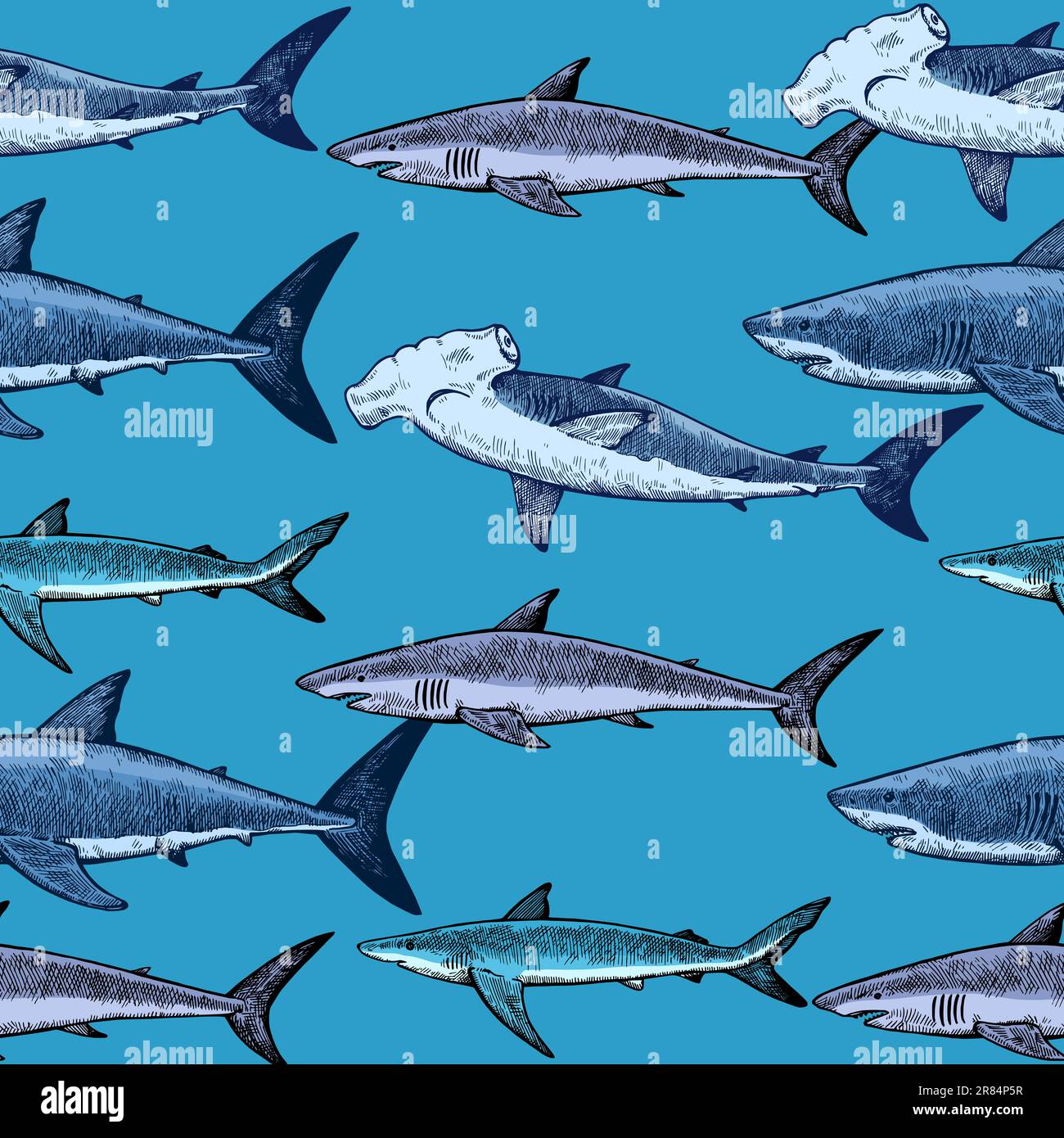 Seamless pattern with various sharks, great white shark, hammerhead shark and other. Vector illustration in engraving vintage style. Stock Vector
