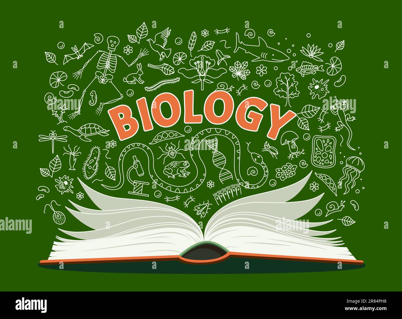 Biology textbook, school book and anatomy doodle symbols on chalkboard