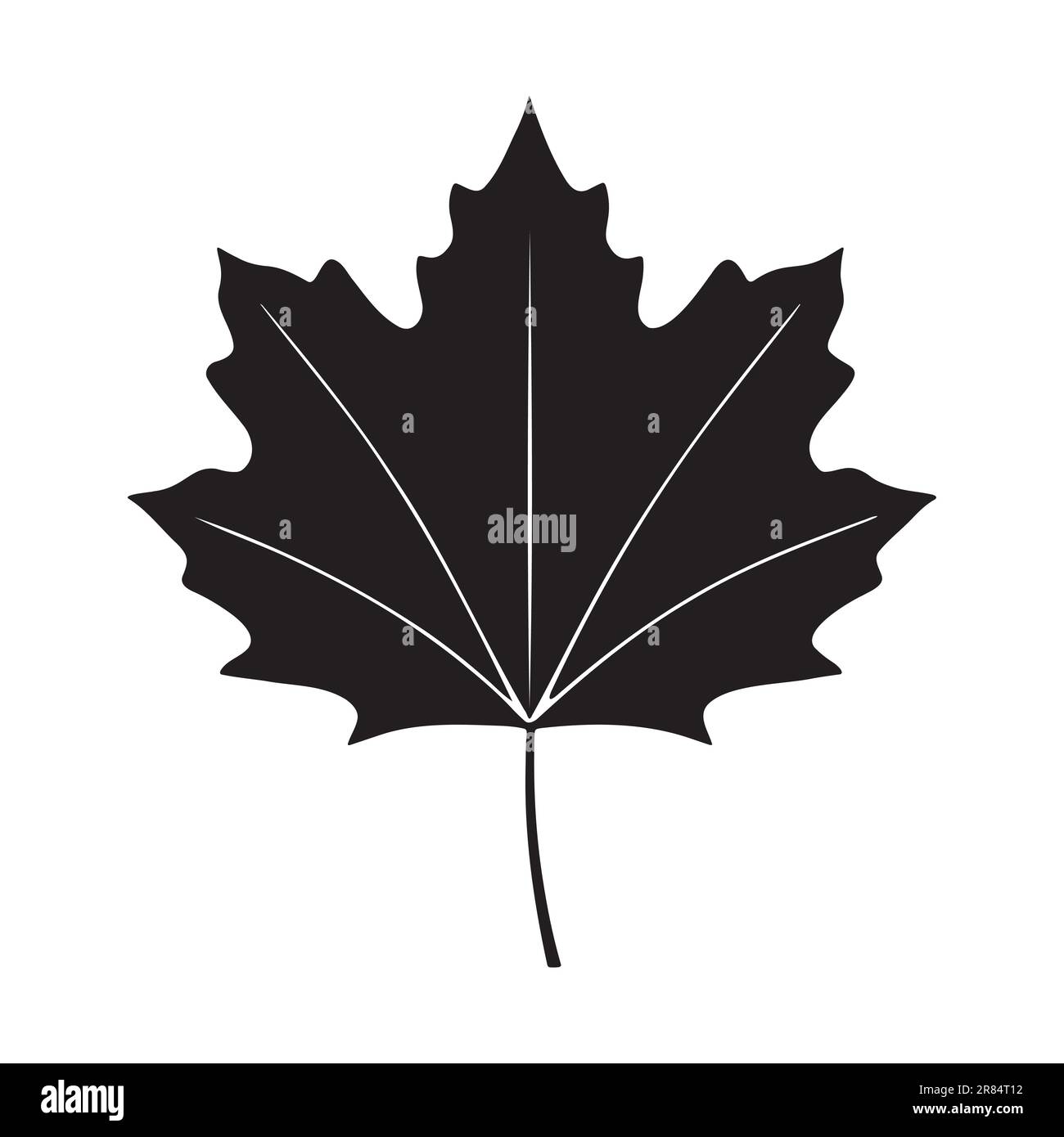 Maple leaf silhouette logo isolated on white background, vector icon ...