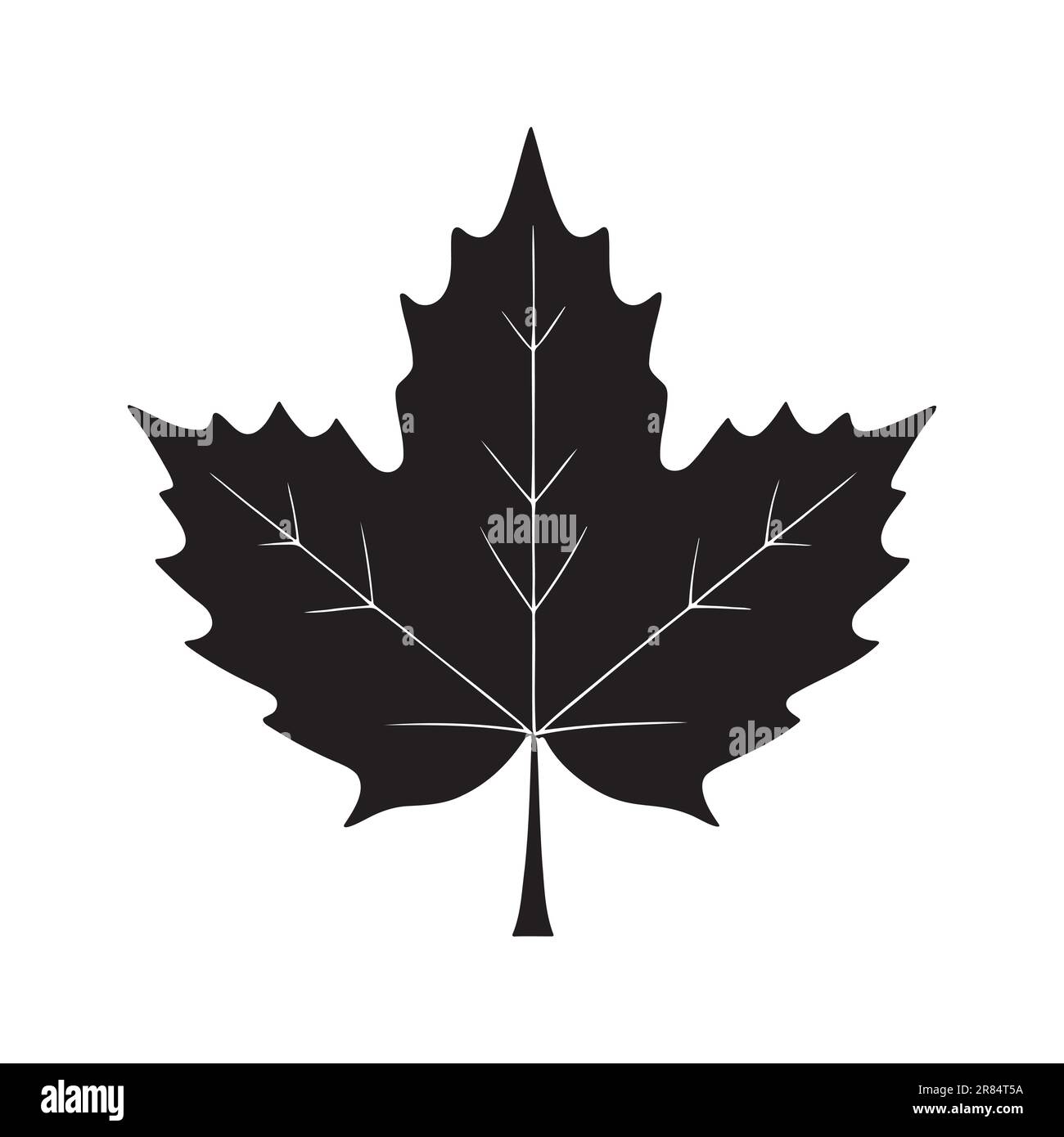 Maple leaf silhouette logo isolated on white background, vector icon ...