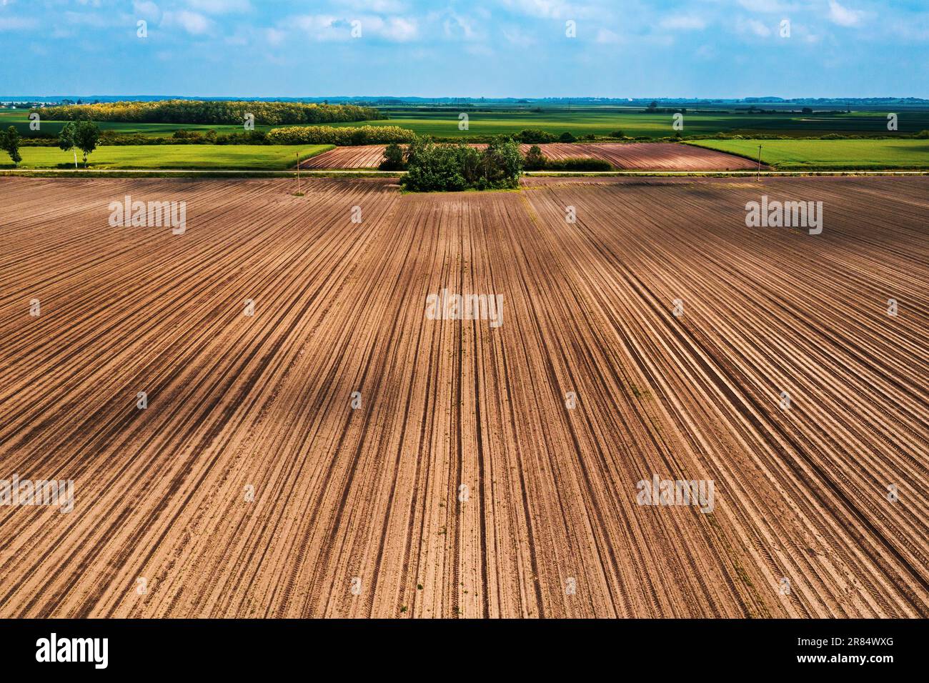 Shot field hi-res stock photography and images - Alamy
