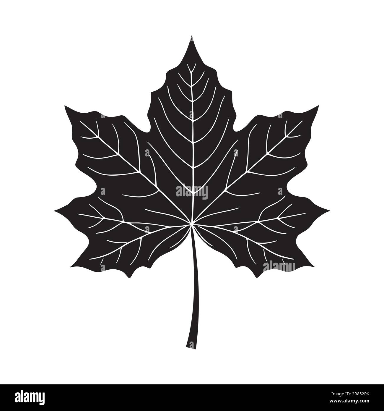 Maple leaf silhouette logo isolated on white background, vector icon ...