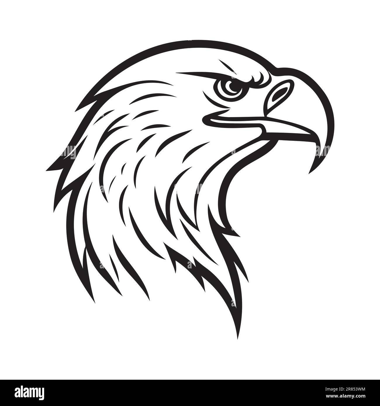 Black and white eagle drawing hi-res stock photography and images - Alamy