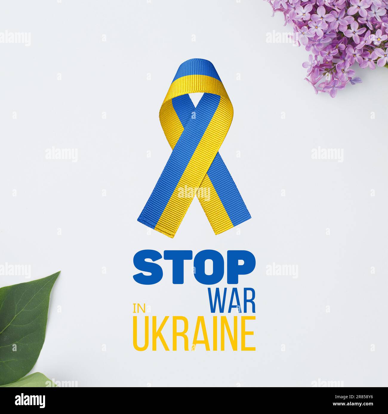 yellow and blue ribbon with flowers on white Stock Photo - Alamy