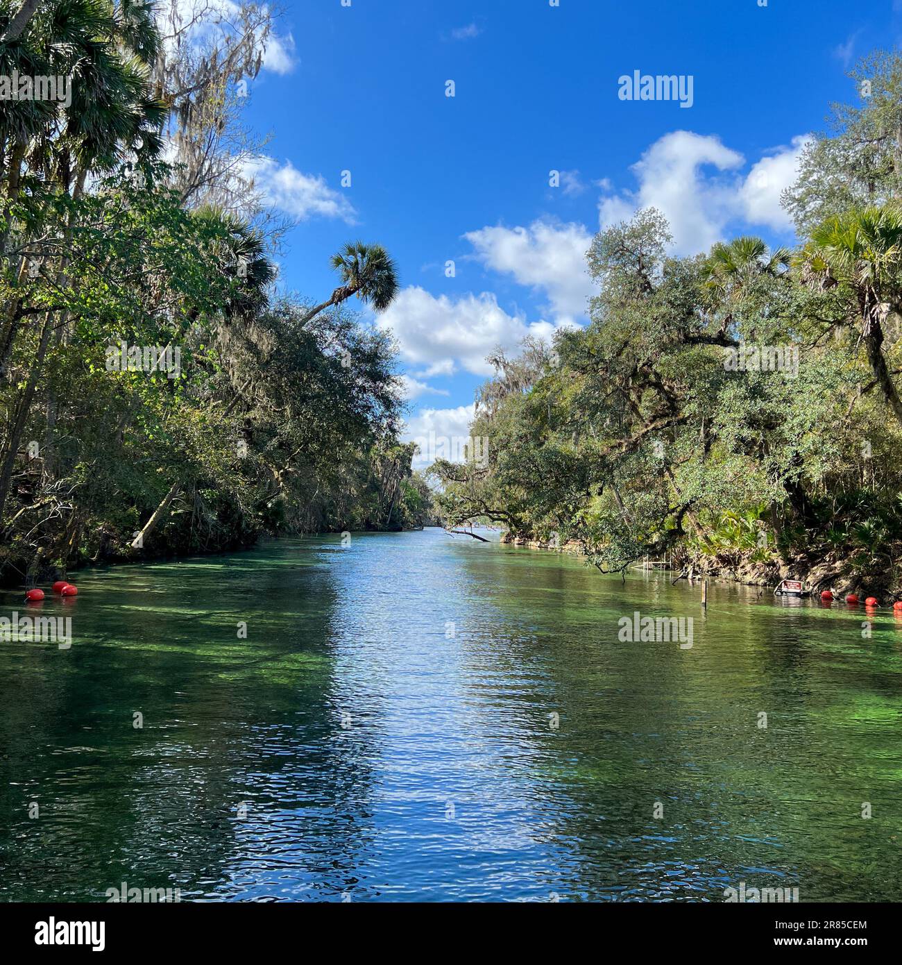 Kayak florida 'springs hires stock photography and images Alamy