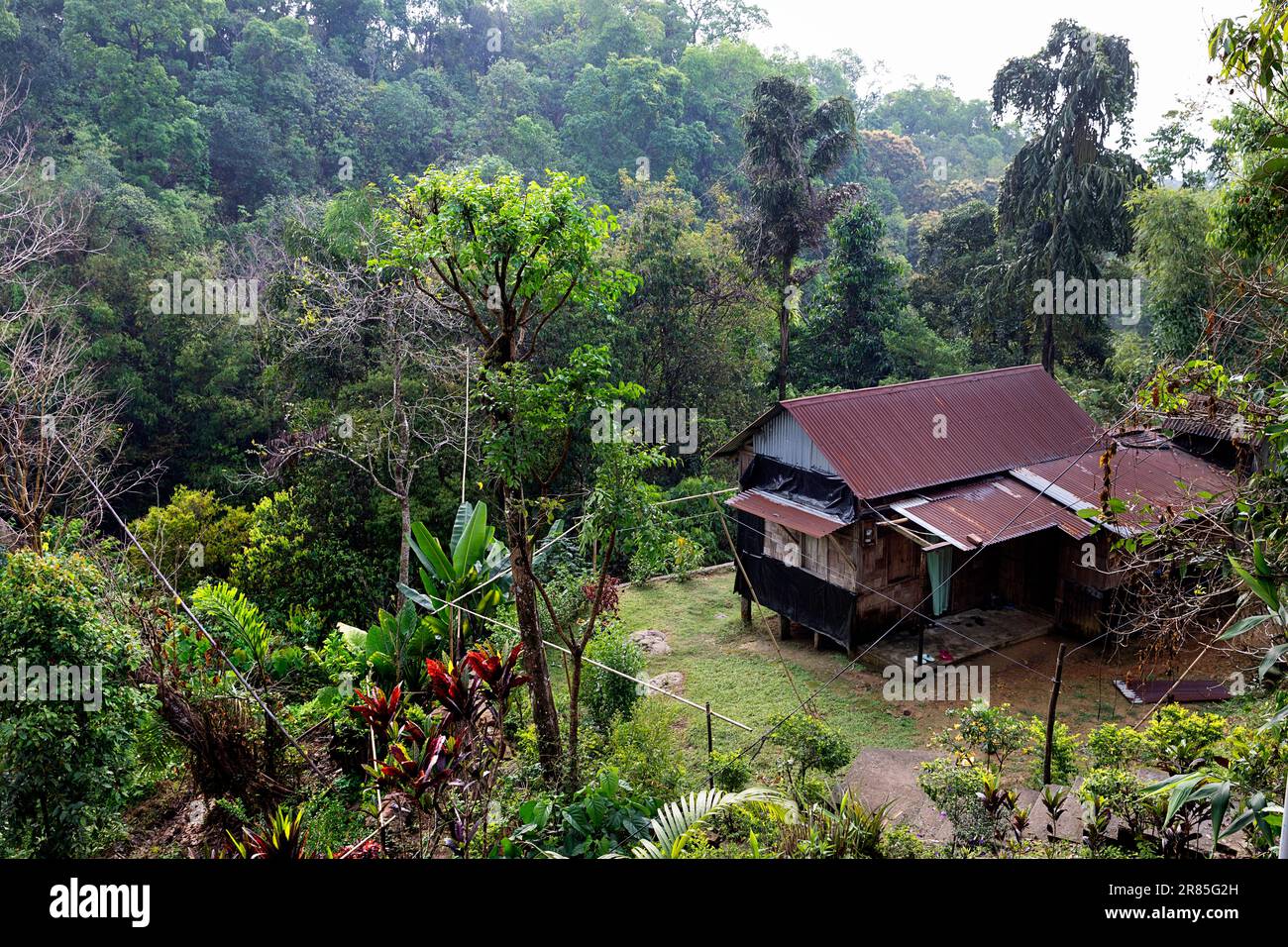 Traditional house of a local family surrounded with lush tropical ...