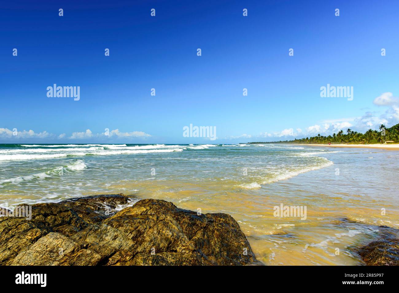 Pe de Serra beach surrounded by the sea and coconut trees in Serra Grande on the coast of Bahia Stock Photo