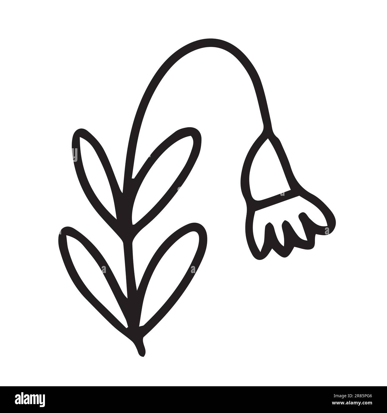Hand drawn lily of the valley Stock Vector