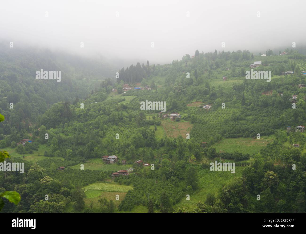 Macahel plateau summer view. Black Sea plateau houses and agricultural lands. Macahel plateau is the touristic point of Artvin province. Camili villag Stock Photo