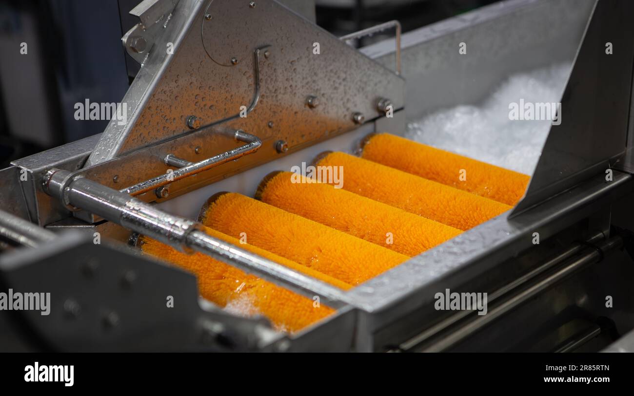 Aeration jet system washer for vegetables, fruits and marine products. Stock Photo