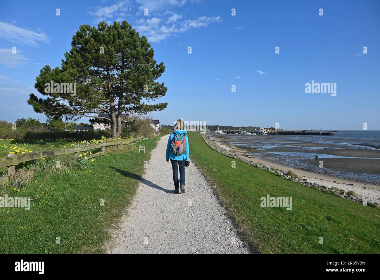 Walking on the Coastpath along the Wadden Sea, Amrum, Frisian Islands,Germany Stock Photo