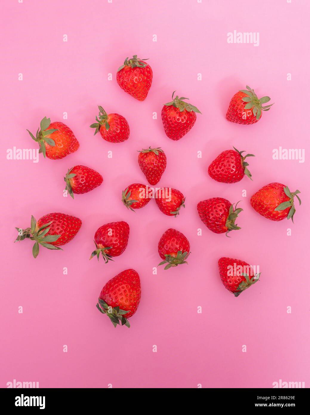 Whole ripe red strawberries are laid out in the form of snowflakes on a ...