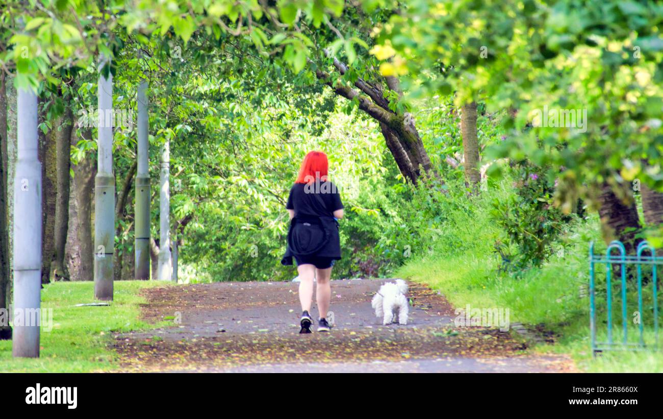 girl with red hair walks dog in tree lined street Stock Photo