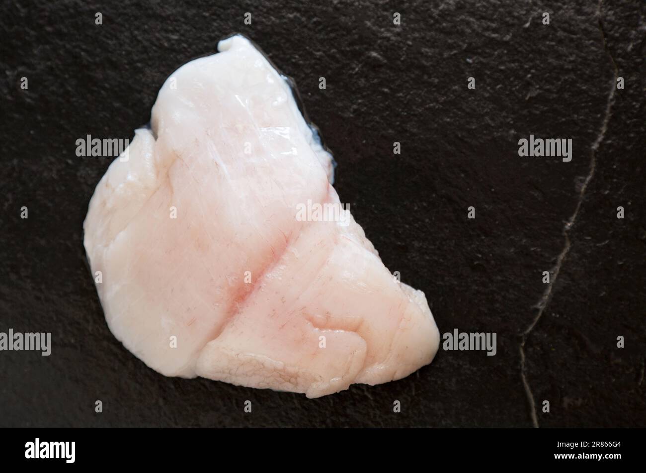 The raw cheek from an Anglerfish, Lophius piscatorius, that will be wrapped in bacon and fried and served on mashed potato. Anglerfish are sometimes c Stock Photo