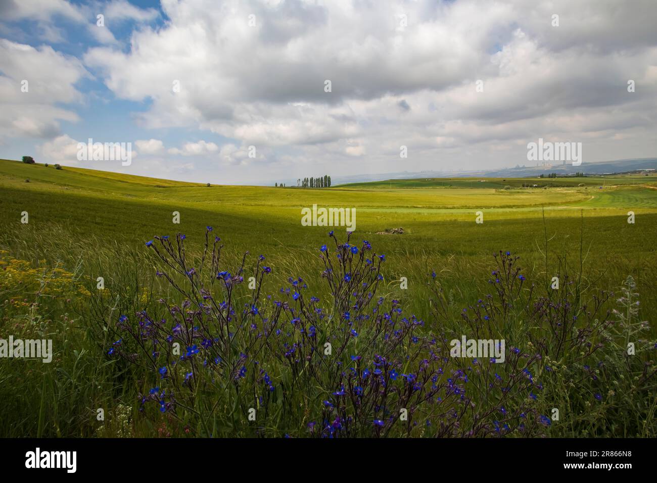 A beautiful wide-angle landscape in good light. Stock Photo