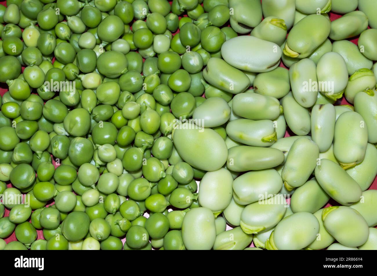 Shelled green peas and broad beans, concept of healthy eating Stock