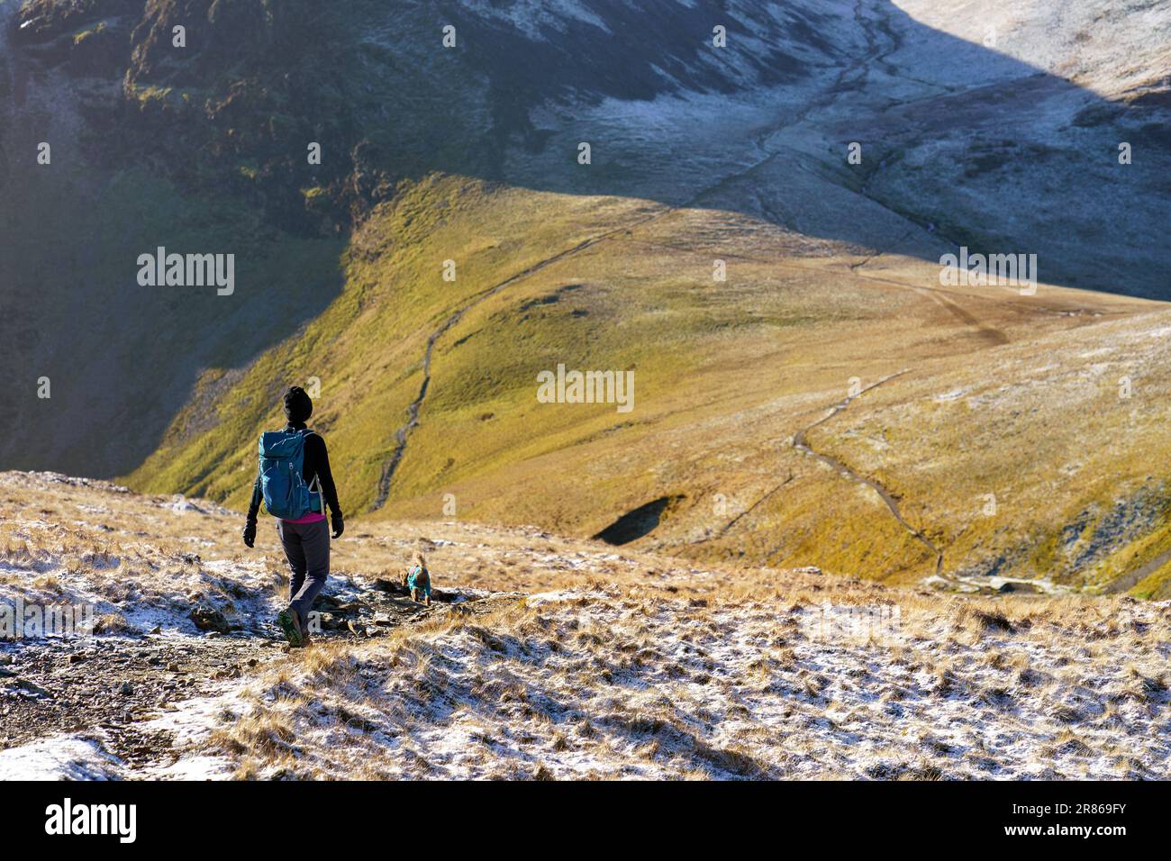A female hiker and their dog walking down from Sand Hill towards Coledale Hause below Crag Hill in winter in the English Lake District, UK. Stock Photo